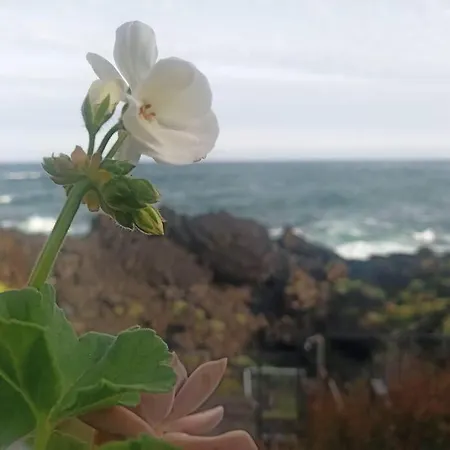 Casa Sul Mare In Sicilia, Acireale-stazzo * Acireale